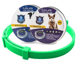 Coleira Anti Pulga e Carrapatos para Cães e Gatos - Dant Rei Store